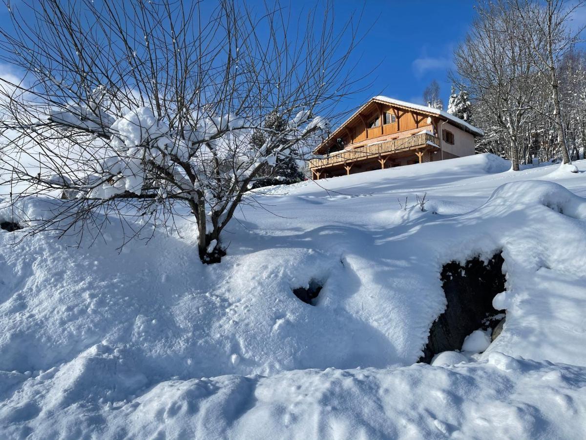 Chalet Spa Le Diamant Nathalie Mn La Rouge La Bresse Exterior foto